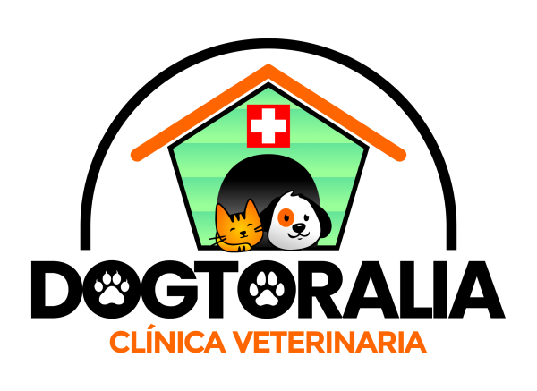 cropped-DOGTORALIA-FONDO-TRANSPARENTE-600x437